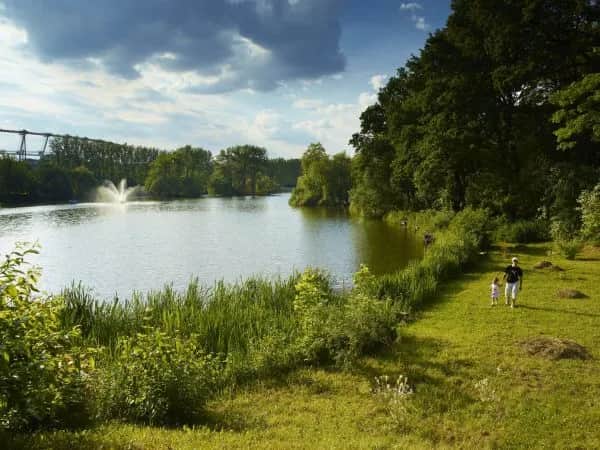Atrakcje w Parku w Chorzowie, które zaskoczą każdego odwiedzającego